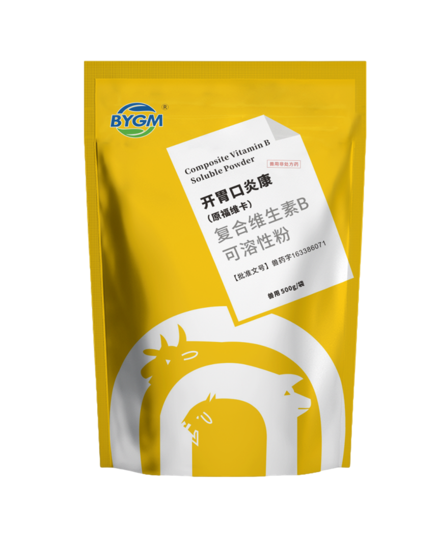 b9a337da-4b81-454e-8c8f-f7364c2d73c5 (1).png